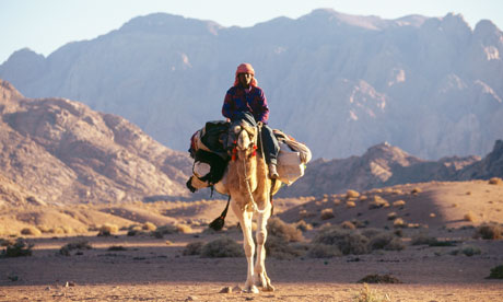 Bedouin-riding-a-dromedary